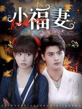 短剧《小福妻 (2025)》全集免费在线观看-第1张图片-力界网