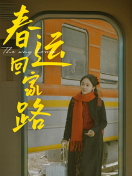 短剧《春运回家路 (2025)》全集免费在线观看-第1张图片-力界网