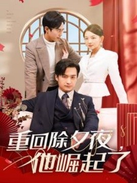 短剧《重回除夕夜，他崛起了 (2025)》全集免费在线观看-第1张图片-力界网