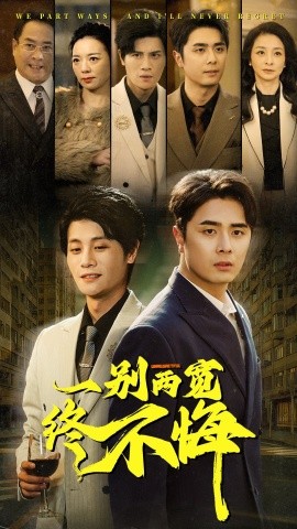 短剧《一别两宽终不悔 (2025)》全集免费在线观看-第1张图片-力界网