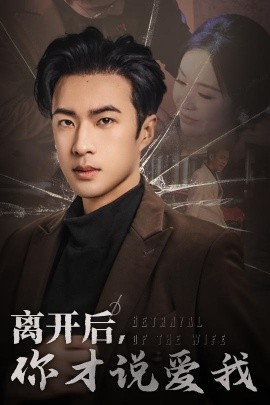 短剧《离开后，你才说爱我 (2025)》全集免费在线观看-第1张图片-力界网