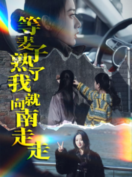 短剧《等麦子熟了我就向南走走 (2025)》全集免费在线观看-第1张图片-力界网