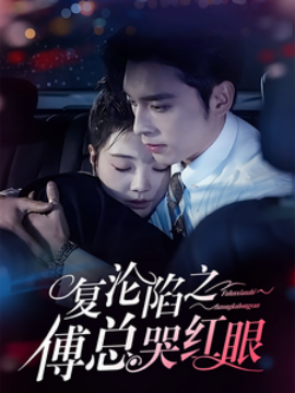 短剧《复沦陷之傅总哭红眼 (2025)》全集免费在线观看-第1张图片-力界网