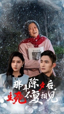 短剧《那年除夕后，生死不复相见 (2025)》全集免费在线观看-第1张图片-力界网