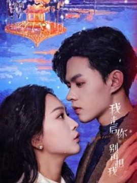 短剧《我走后你别再想我 (2025)》全集免费在线观看-第1张图片-力界网