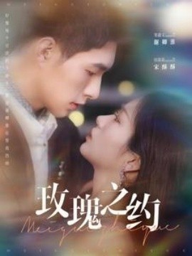 短剧《玫瑰之约 (2025)》全集免费在线观看-第1张图片-力界网