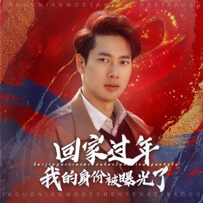 短剧《回家过年我的身份被曝光了 (2025)》全集免费在线观看-第1张图片-力界网