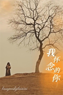 短剧《我怀念的你 (2025)》全集免费在线观看-第1张图片-力界网