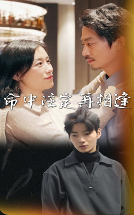 短剧《命中注定再相逢 (2025)》全集免费在线观看-第1张图片-力界网