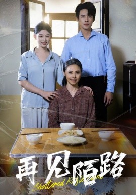 短剧《再见陌路（39集）葛子扬&陈诺 (2025)》全集免费在线观看-第1张图片-力界网