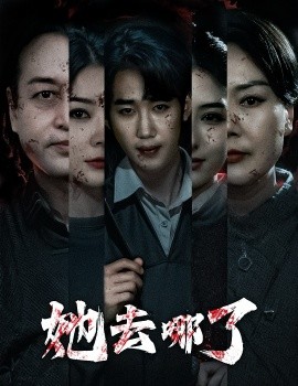 短剧《她去哪了（56集）林初 (2025)》全集免费在线观看-第1张图片-力界网