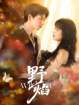 短剧《野焰（60集）陈政阳＆郑千亦 (2025)》全集免费在线观看-第1张图片-力界网