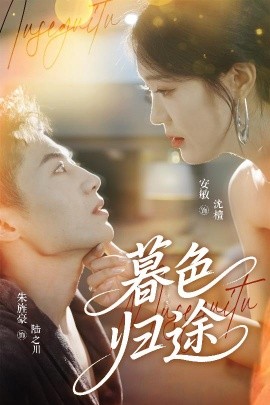 短剧《暮色归途（50集）安敏&朱旌豪 (2025)》全集免费在线观看-第1张图片-力界网