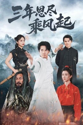 短剧《三年恩尽乘风起（60集）美美&陆绎方 (2025)》全集免费在线观看-第1张图片-力界网