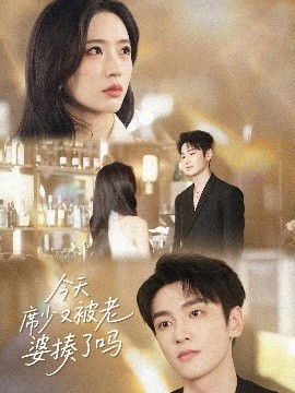 短剧《今天席少又被老婆揍了吗（80集）郭祥&赵兰君 (2025)》全集免费在线观看-第1张图片-力界网
