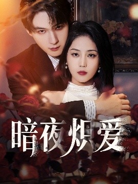短剧《暗夜炽爱（50集）黄云云&常喆宽 (2025)》全集免费在线观看-第1张图片-力界网