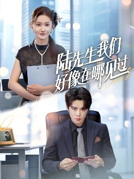 短剧《陆先生我们好像在哪见过（70集）刘美伦&曲曦晨 (2025)》全集免费在线观看-第1张图片-力界网