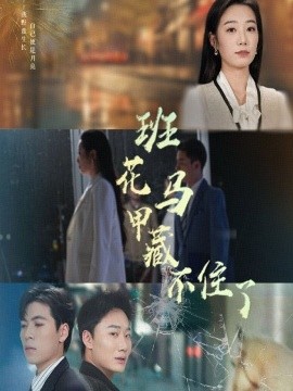 短剧《班花马甲藏不住了（34集）雷子&赵晴 (2025)》全集免费在线观看-第1张图片-力界网