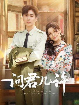 短剧《问君几许（91集）刘承林 (2025)》全集免费在线观看-第1张图片-力界网
