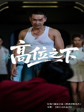 短剧《高位之下（65集）张家嘉&赵龙 (2025)》全集免费在线观看-第1张图片-力界网
