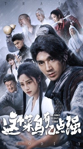 短剧《这个菜鸟有亿点强（74集）万晓晓&李砚 (2025)》全集免费在线观看-第1张图片-力界网