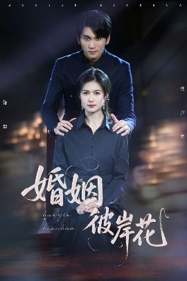 短剧《婚姻彼岸花（63集）伍月&李思杨 (2025)》全集免费在线观看-第1张图片-力界网