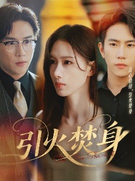 短剧《引火焚身（61集）程澄＆杨云绚 (2025)》全集免费在线观看-第1张图片-力界网