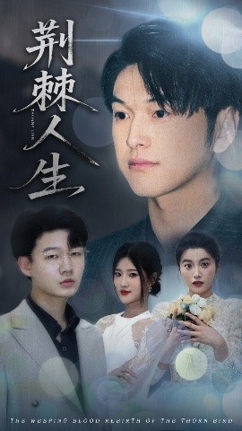 短剧《荆棘人生（74集）陈馨雨&胥宁轲 (2025)》全集免费在线观看-第1张图片-力界网