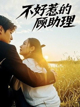短剧《不好惹的顾助理（67集）孟祥鑫＆李雪阳 (2025)》全集免费在线观看-第1张图片-力界网