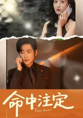短剧《命中注定（33集）贾博雅&高杨 (2025)》全集免费在线观看-第1张图片-力界网
