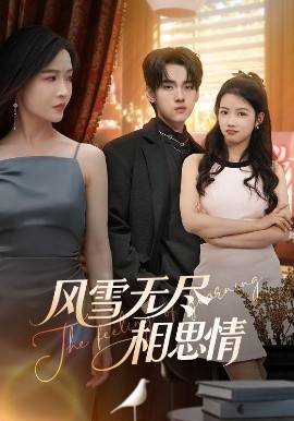 短剧《风雪无尽相思情（61集）李珊&詹琸 (2025)》全集免费在线观看-第1张图片-力界网