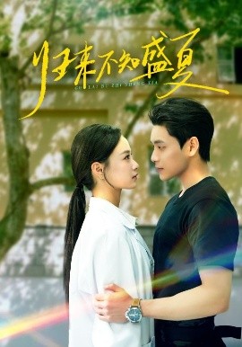 短剧《归来不知盛夏（75集）张志伟＆王宇婧 (2025)》全集免费在线观看-第1张图片-力界网
