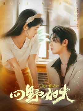 短剧《四野如火（79集）叶皓然&徐思祁 (2025)》全集免费在线观看-第1张图片-力界网