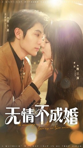 短剧《无情不成婚（70集）王子林&盛晨 (2025)》全集免费在线观看-第1张图片-力界网