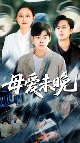 短剧《母爱未晚（69集）解琳&刘奕辰 (2025)》全集免费在线观看-第1张图片-力界网