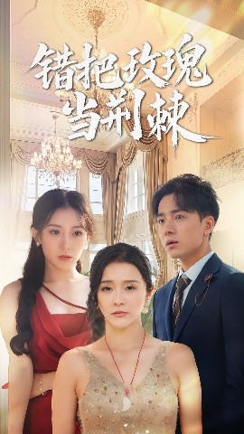 短剧《错把玫瑰当荆棘（40集）金大钟&王蕾 (2025)》全集免费在线观看-第1张图片-力界网