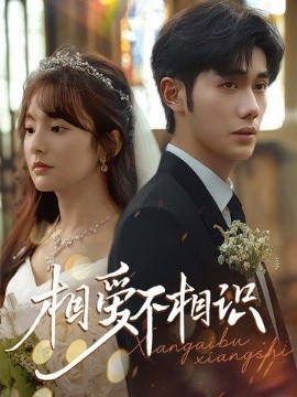短剧《相爱不相识（67集）李铂一&王子怡 (2025)》全集免费在线观看-第1张图片-力界网