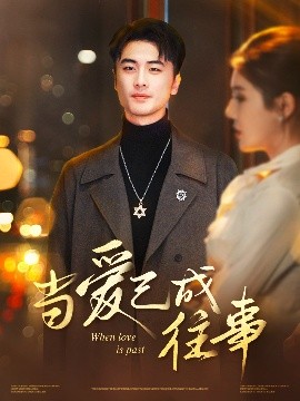 短剧《当爱已成往事（30集）张黎昊&李雨欣 (2025)》全集免费在线观看-第1张图片-力界网