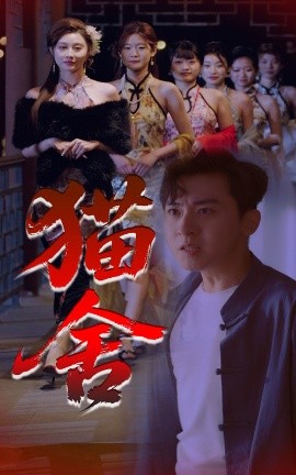 短剧《猫舍（34集）刘猛&陈旭 (2025)》全集免费在线观看-第1张图片-力界网