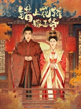 短剧《错上花轿嫁王爷（80集）王子双＆一孚 (2025)》全集免费在线观看-第1张图片-力界网