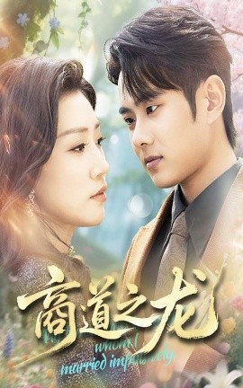 短剧《商道之龙（65集）徐晨皓&孙同钰 (2025)》全集免费在线观看-第1张图片-力界网