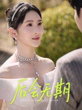 短剧《后会无期（60集）肖茜文&刘静阳&牟欣杰 (2025)》全集免费在线观看-第1张图片-力界网