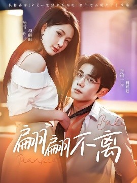 短剧《翩翩不离（71集）杨洁&李铂一 (2025)》全集免费在线观看-第1张图片-力界网
