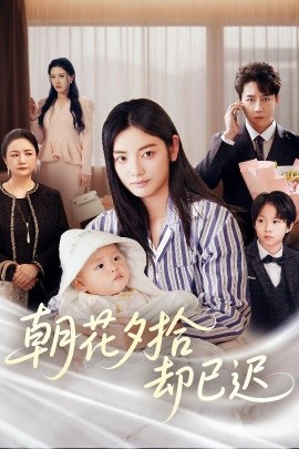 短剧《朝花夕拾却已迟（61集）张子唯&李婧也 (2025)》全集免费在线观看-第1张图片-力界网