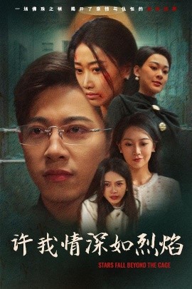 短剧《许我情深如烈焰（65集）金威＆白杨滋&张钰静 (2025)》全集免费在线观看-第1张图片-力界网