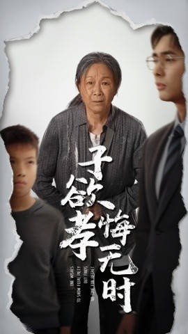 短剧《子欲孝悔无时（54集）米琦&吴子明 (2025)》全集免费在线观看-第1张图片-力界网