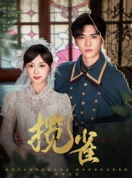 短剧《揽雀（61集）王奕然＆侯呈玥 (2025)》全集免费在线观看-第1张图片-力界网