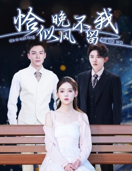 短剧《恰似晚风不留我＆弃他如风（51集）黄帅帅＆唐敬 (2025)》全集免费在线观看-第1张图片-力界网