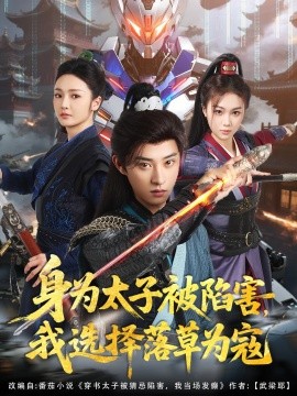 短剧《身为太子被陷害，我选择落草为寇（87集）孙景琛＆胡冬晴 (2025)》全集免费在线观看-第1张图片-力界网