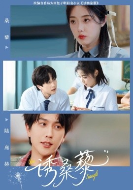 短剧《诱桑藜（83集）墨凝&宋宇博 (2025)》全集免费在线观看-第1张图片-力界网